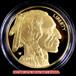 バッファローゴールド50ドルコイン2009年プルーフ(レプリカコイン)